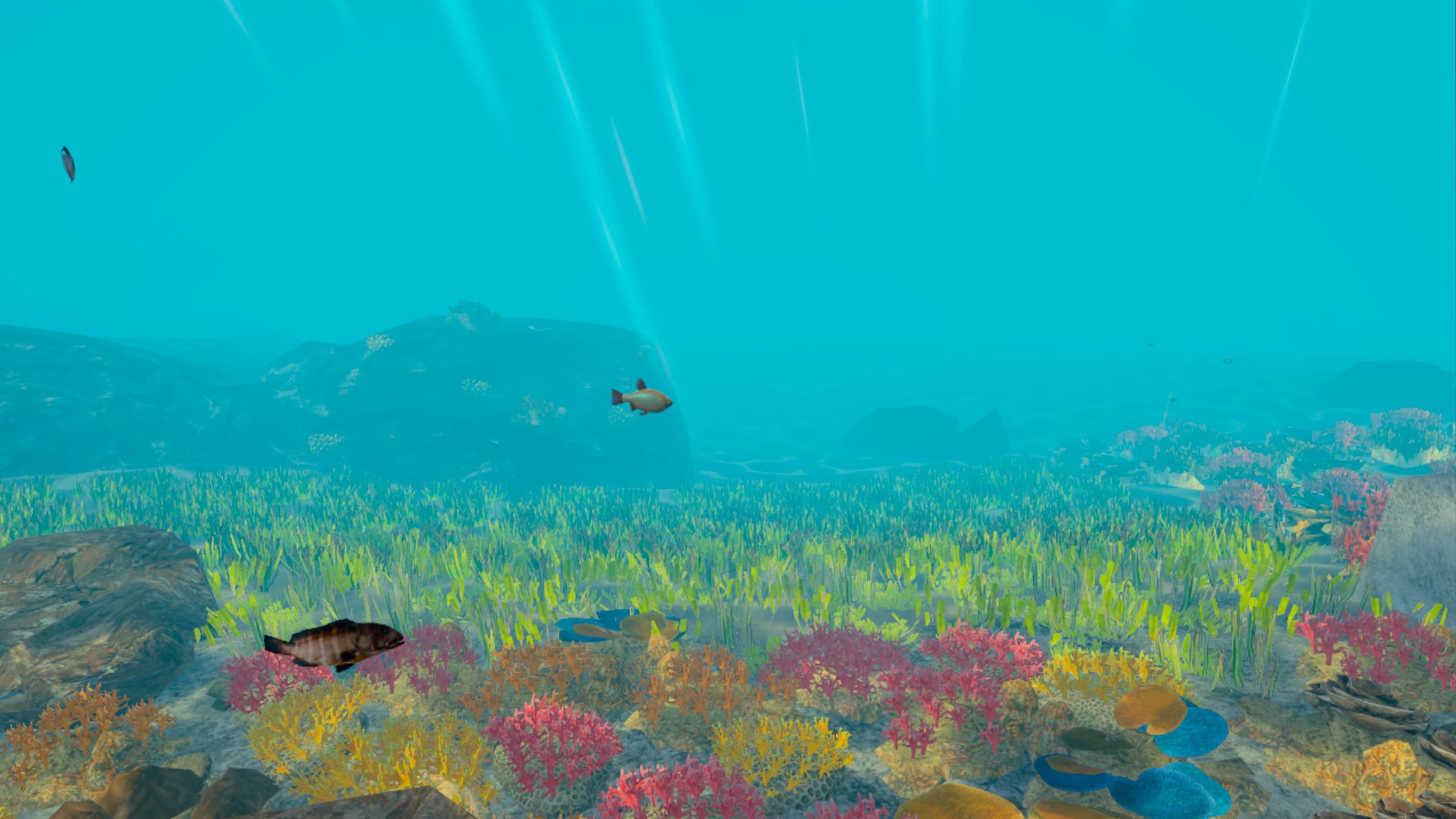 Standalone VR Experience for Marine Ecological Education thumbnail 3